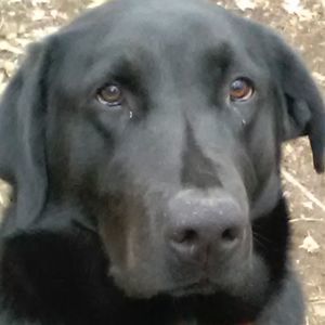 Meet your Posher, Kristin